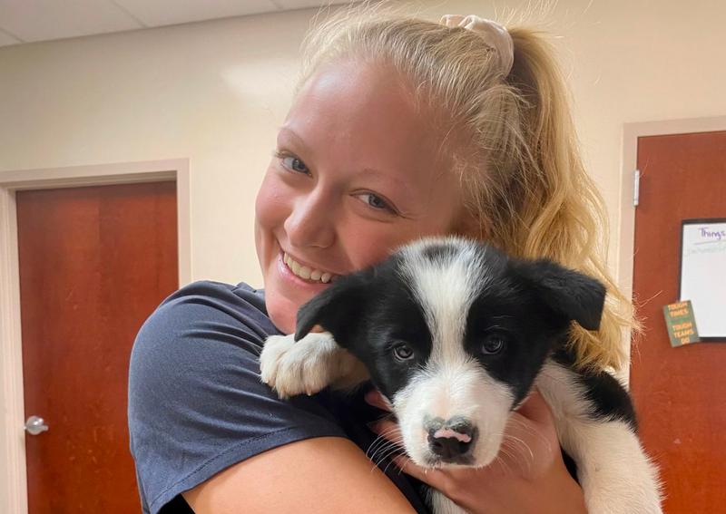 Carousel Slide 4: We offer Puppy and Kitten Care